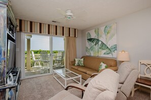 TV, DVD player, books, video library