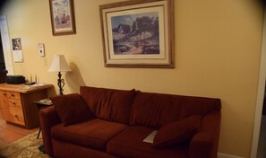 TV de tela plana, lareira, livros