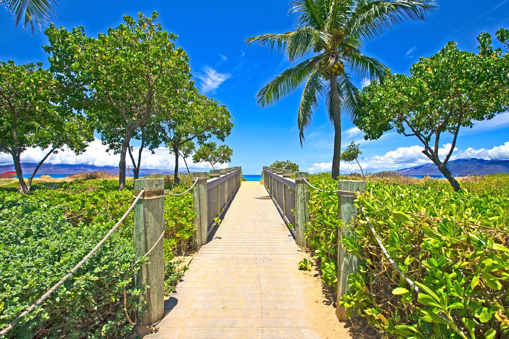 Ein hölzerner Weg führt zu einem Strand mit Palmen und üppiger Vegetation.