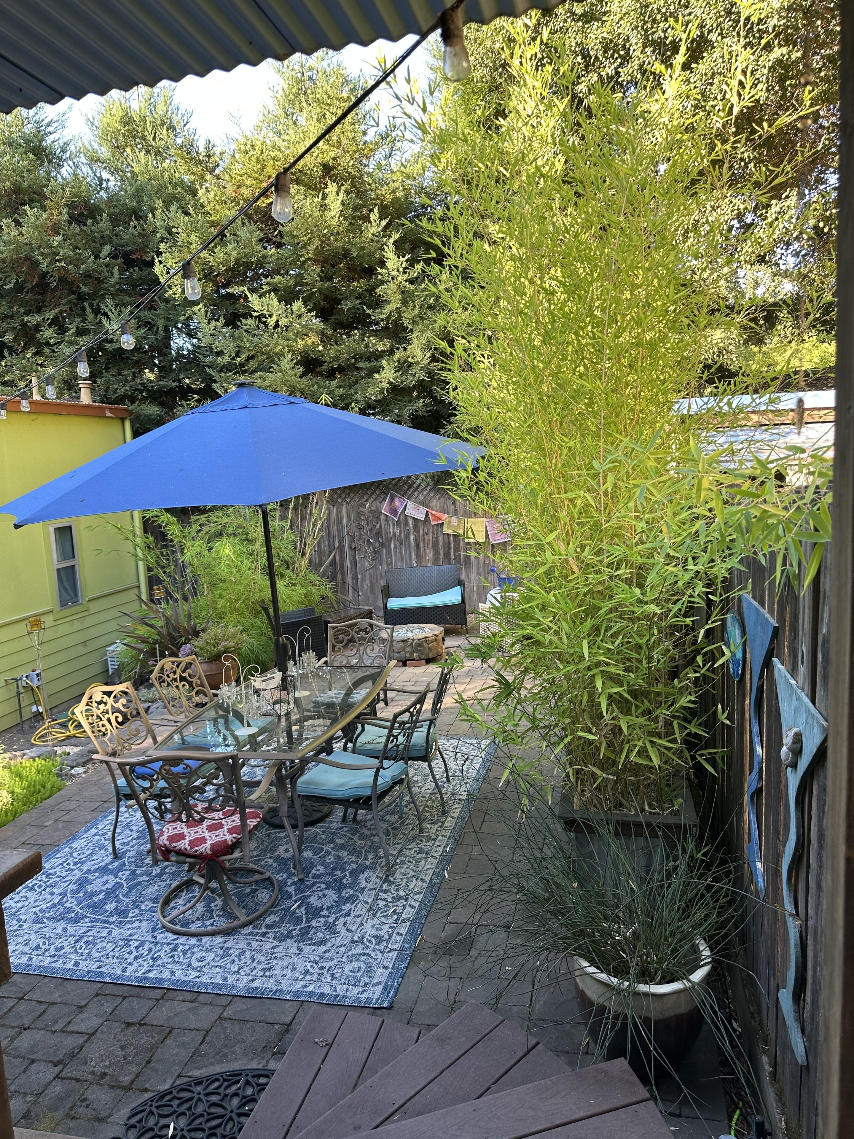 An outdoor patio with a table and chairs, a blue umbrella, and a potted plant.
