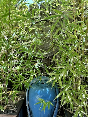 Surrounded by lush greenery, a serene water feature invites relaxation in a peaceful garden setting.