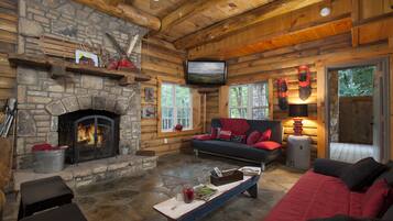 TV connectée, cheminée, lecteur de DVD