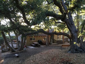 A rustic outdoor seating area with wooden benches and picnic tables, surrounded by large trees.