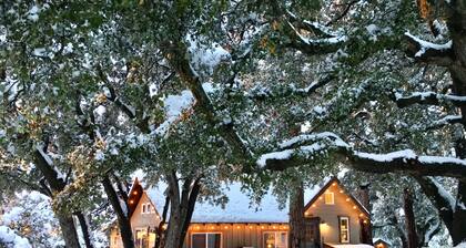 "Cozy Oaks Cabin" Peaceful Mountain Getaway, Charming & Romantic! Trail Pass...