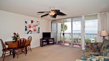 TV, DVD player, books, video library