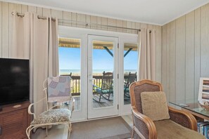 TV, DVD player, books, video library