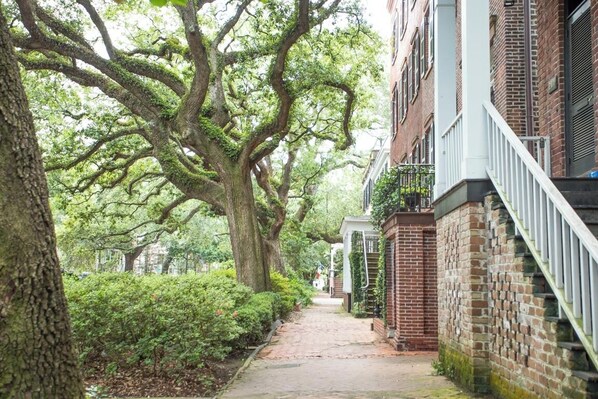 A narrow brick pathway flanked by mature trees and a row of brick buildings with white railings and a central staircase.