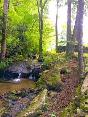 A forested area with a small waterfall, rocky terrain, and a stone wall.