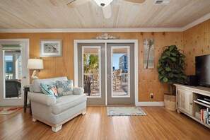 TV, DVD player, books, video library