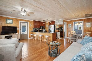 TV, DVD player, books, video library