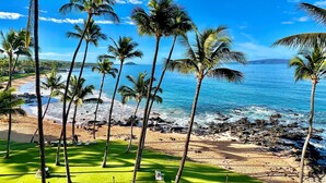 A beach with palm trees and a view of the ocean.