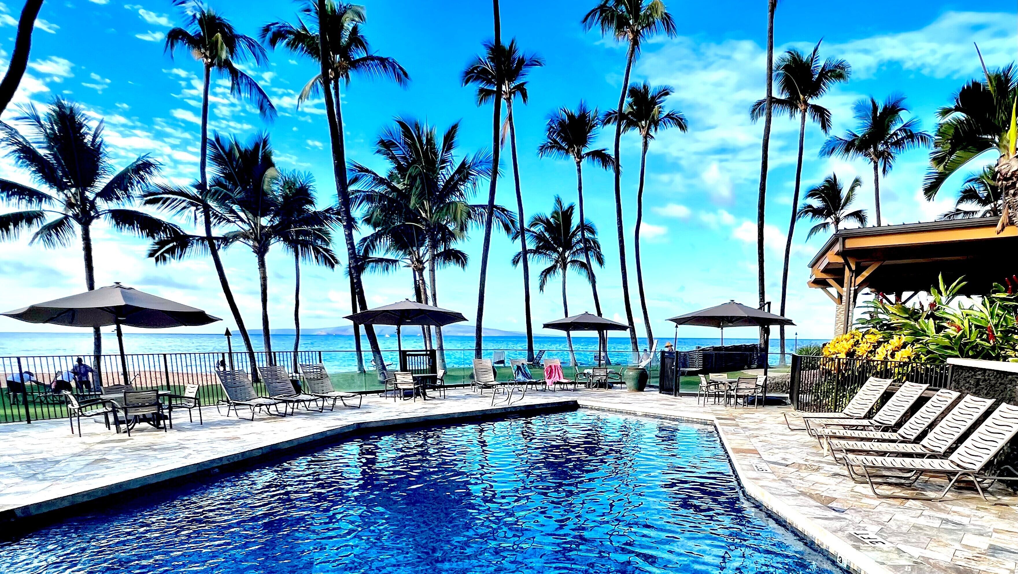 Alberca al aire libre 