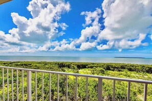 Property grounds - Seaside Escape with Luxe Interior and Ocean Views (Tavernier)