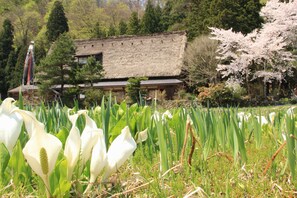 Traditionelt værelse (Japanese Style) | Udsigt fra værelset
