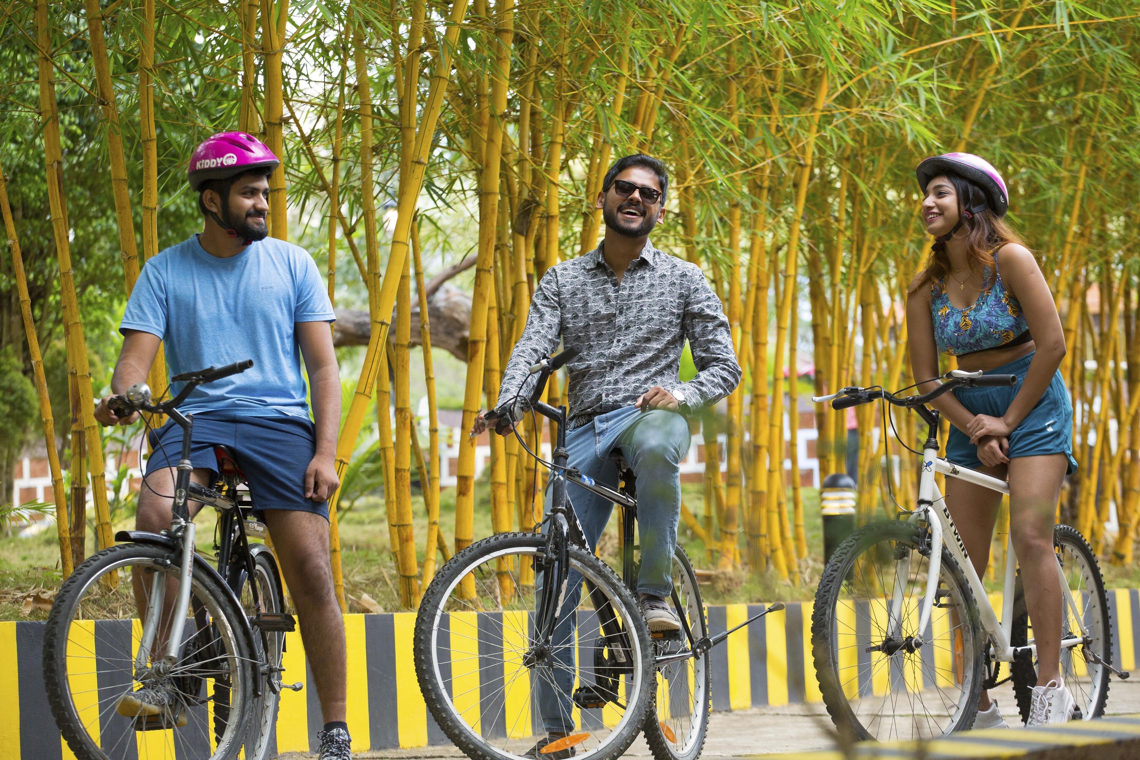 Three people on bicycles in a bamboo forest.