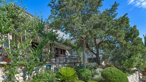 Un jardin aménagé avec différentes plantes et arbres, un sentier en pierre et, au fond, un bâtiment doté de balcons.
