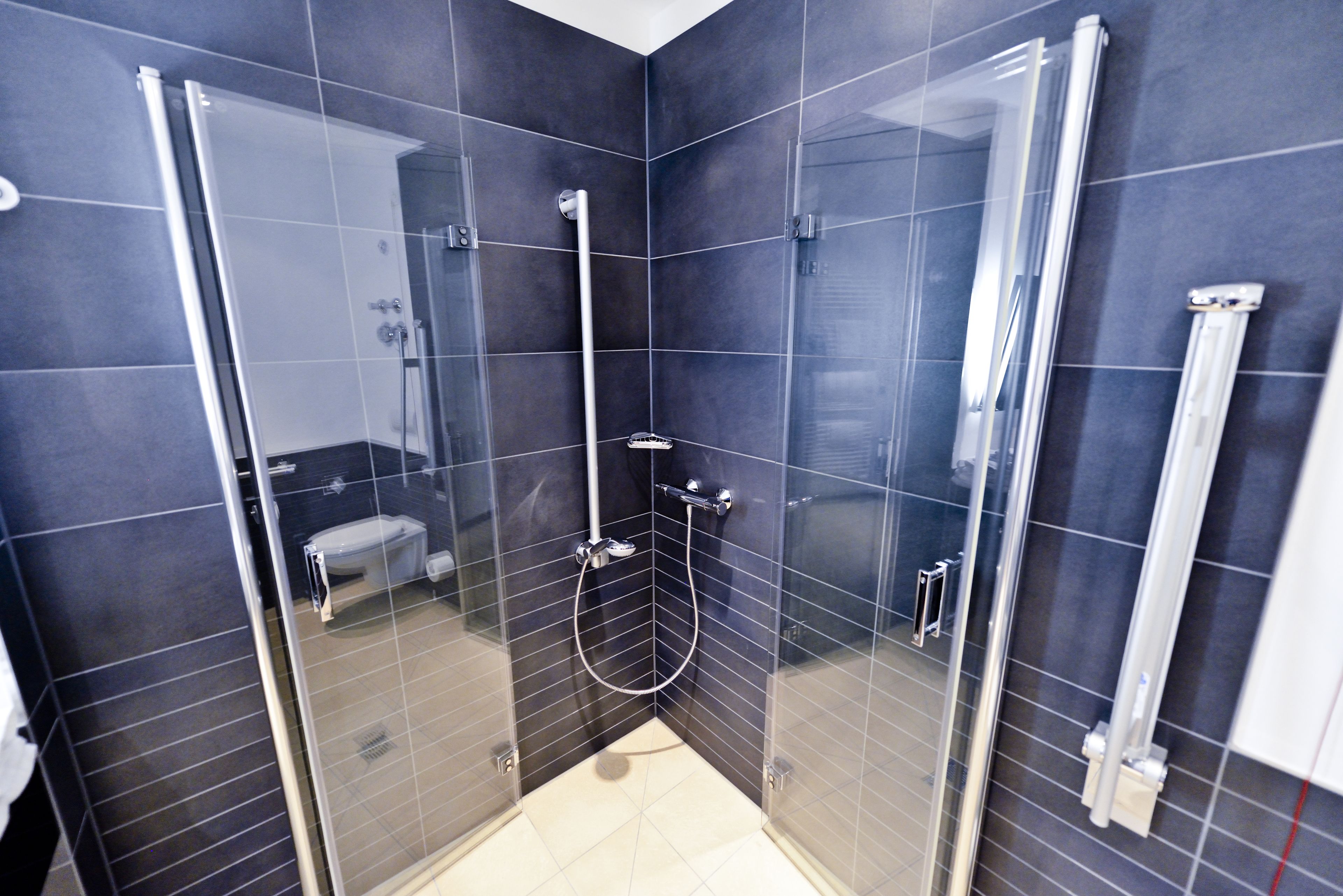 A modern bathroom with dark tiles, a glass-enclosed shower, and a toilet.