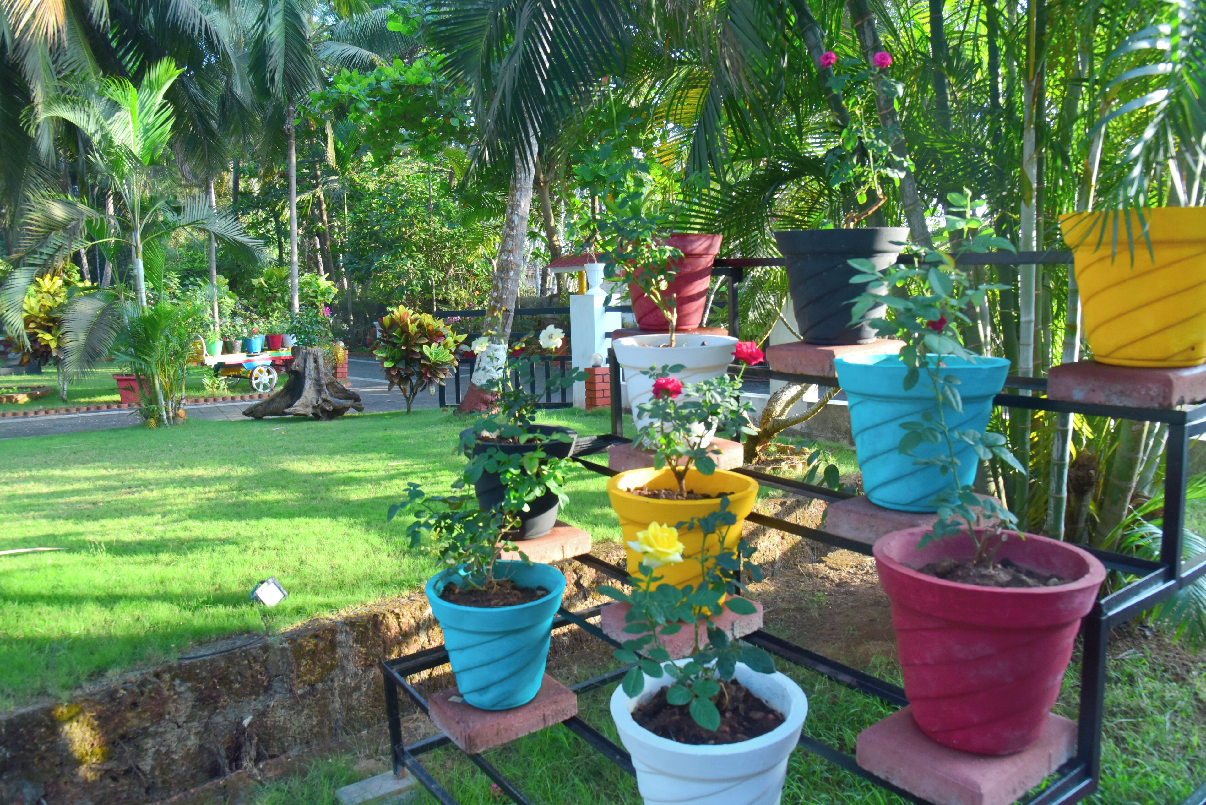 إطلالة على الحديقة