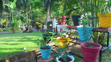 Garden view