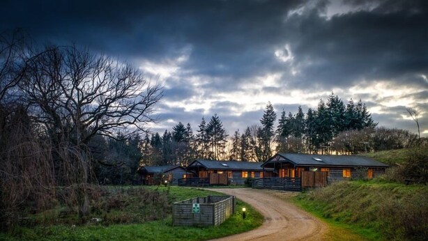 A rustic lodge with multiple cabins, a dirt path leading to the entrance, surrounded by dense forest and under a cloudy sky. - New Forest Lodges (Wimborne)
