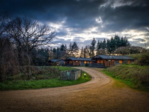 New Forest Lodges