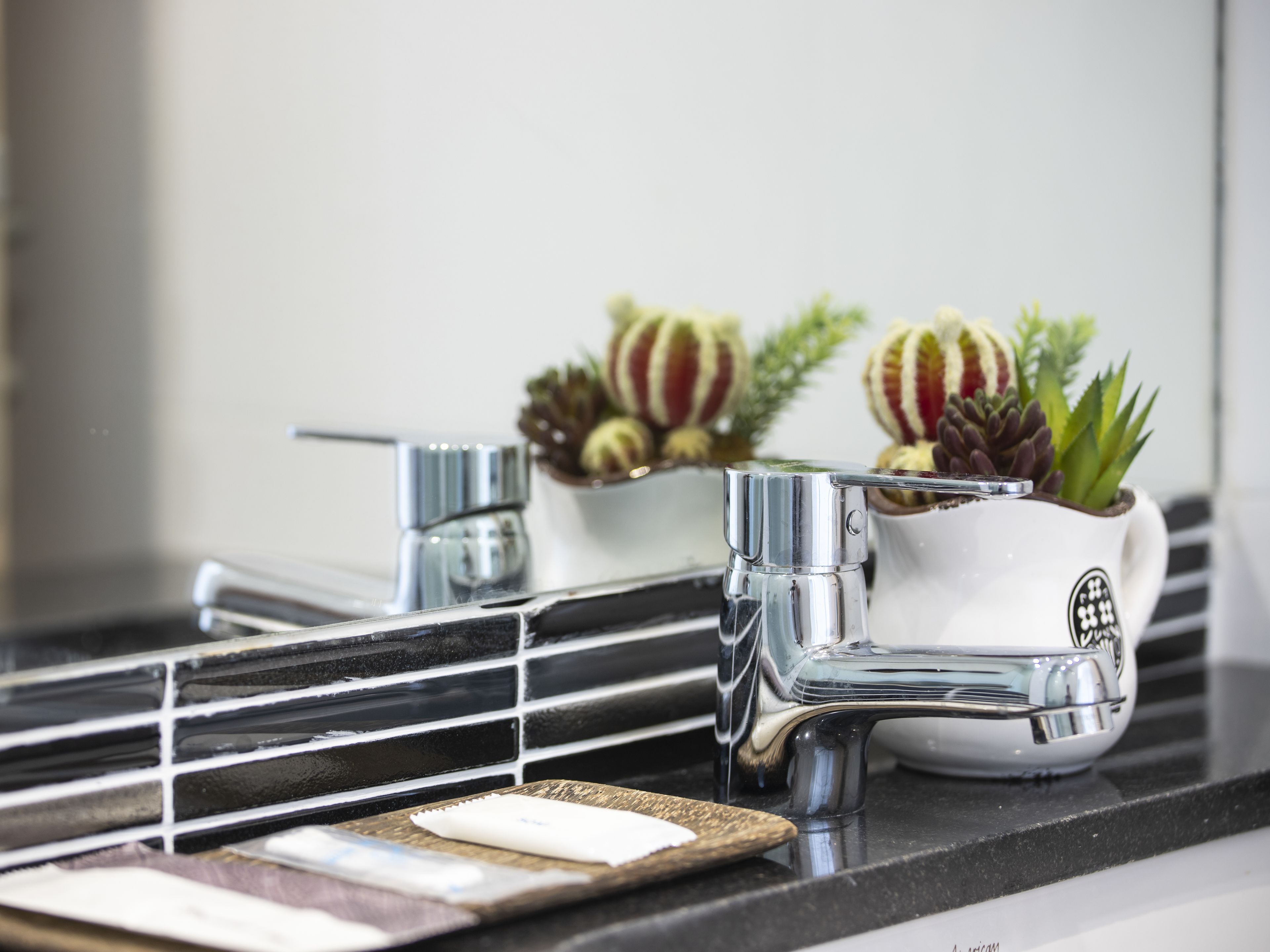 Un plan de travail de cuisine avec un robinet moderne, une petite plante en pot et un porte-savon.