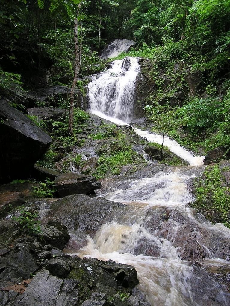 A waterfall cascading over rocks in a forested area.