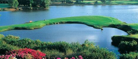 A golf course with a water body, surrounded by lush greenery and flowering plants.