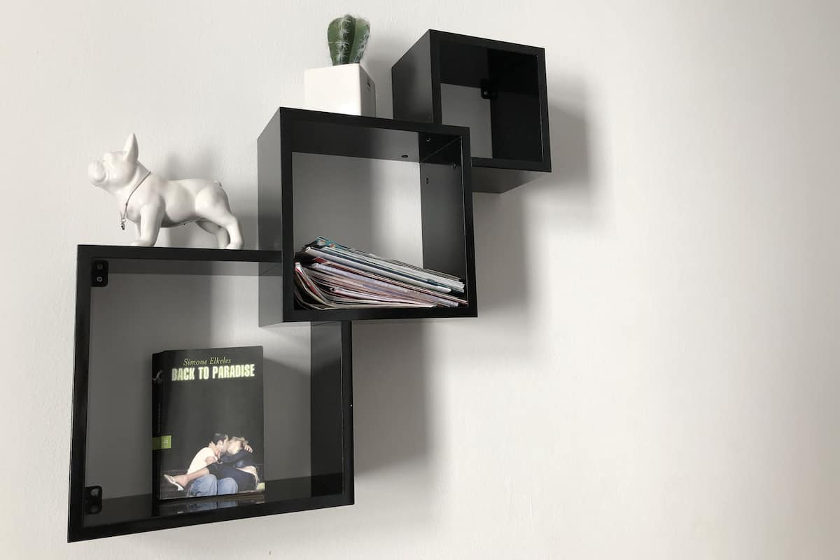 Una estantería de pared con un cactus, una escultura blanca y un libro titulado