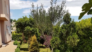 Un chemin pavé mène à un bâtiment doté d’un jardin bien entretenu, où l’on peut admirer différentes espèces d’arbres et d’arbustes.