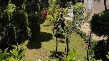 Tuin