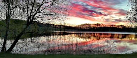 A serene lakeside view with a tree in the foreground and a sunset in the background.