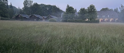 A field with a row of houses in the background.
