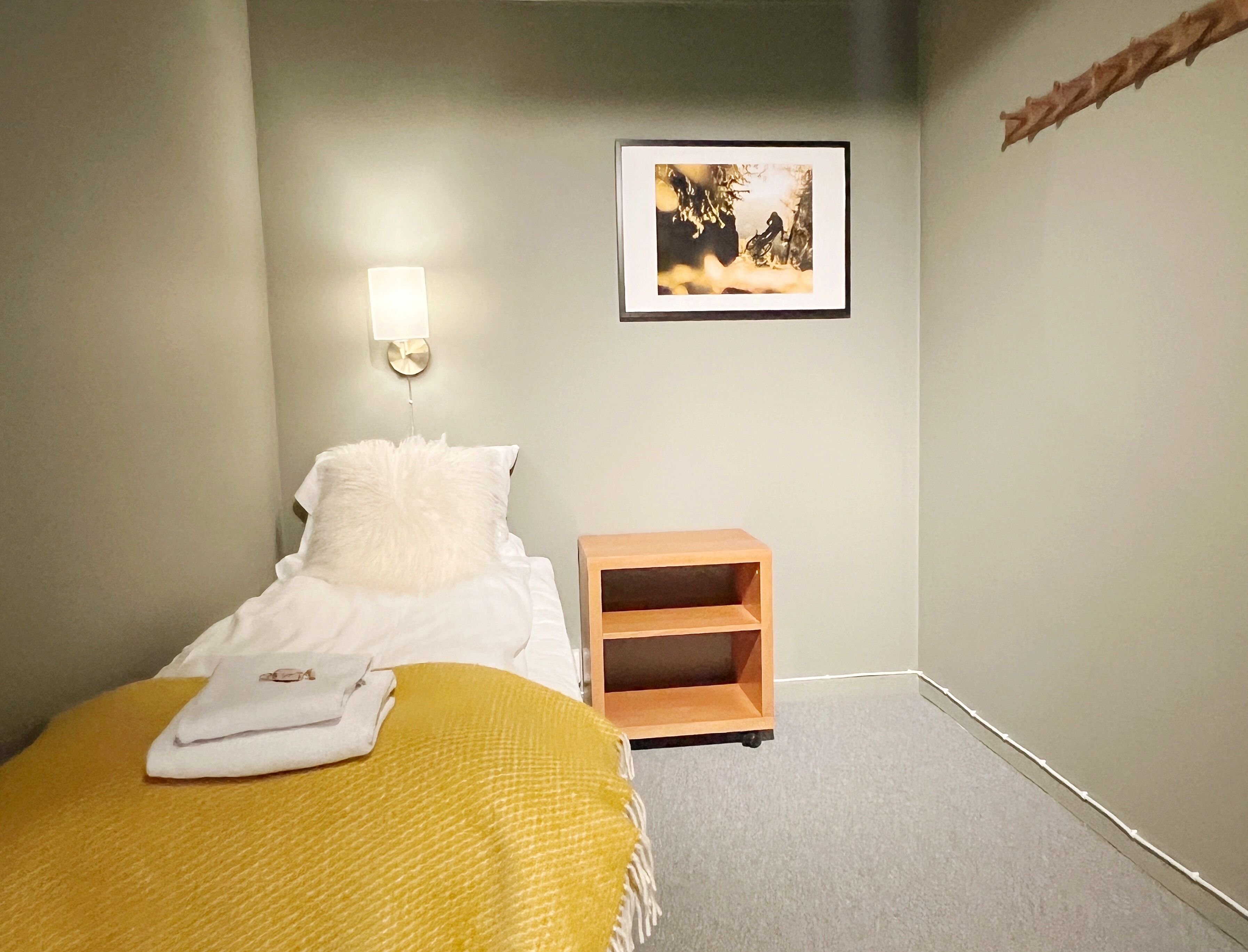 A bedroom with a bed, a bedside table, a wall-mounted light, and a framed picture.
