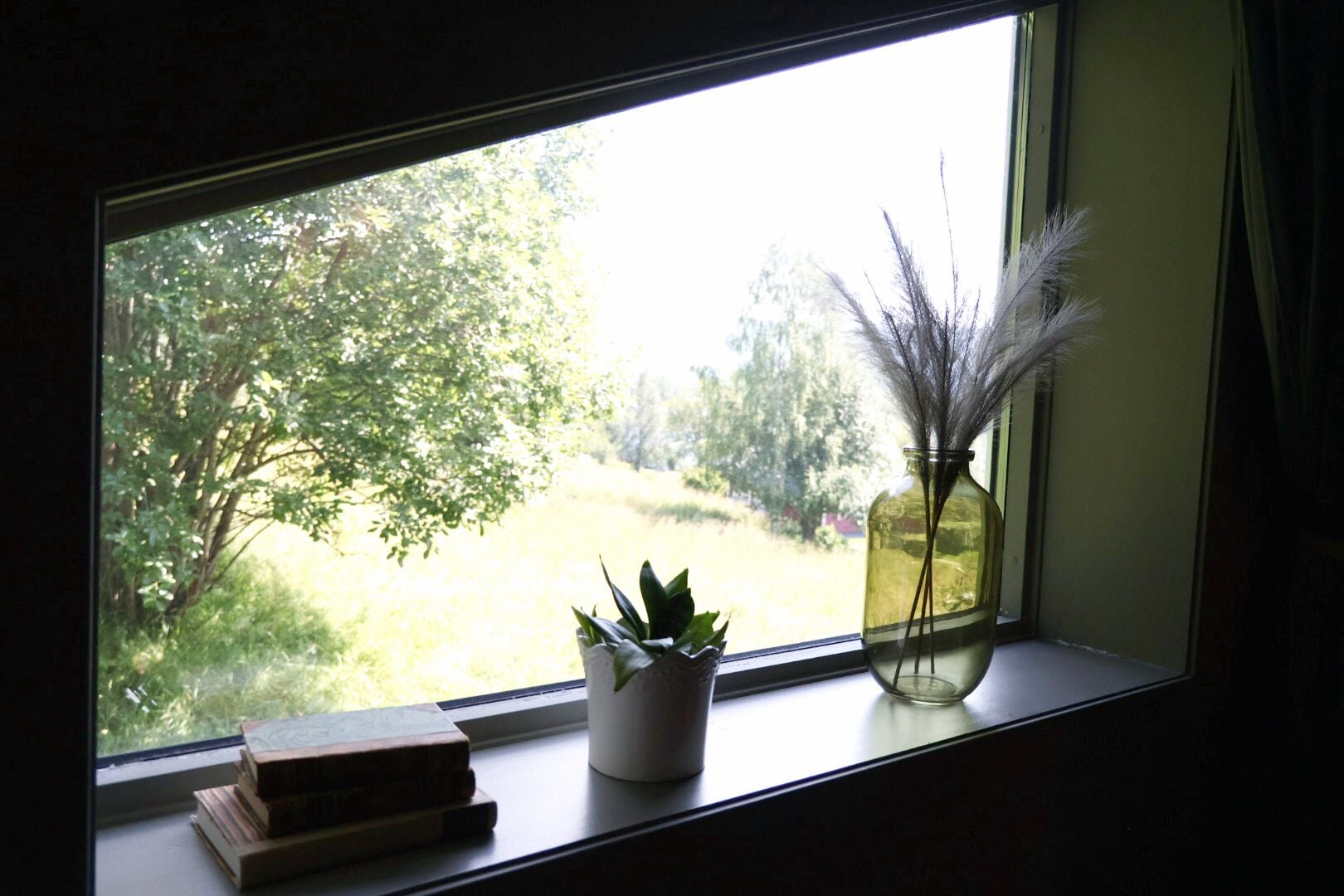 A window with a view of a garden, a potted plant, and a vase with feathers.