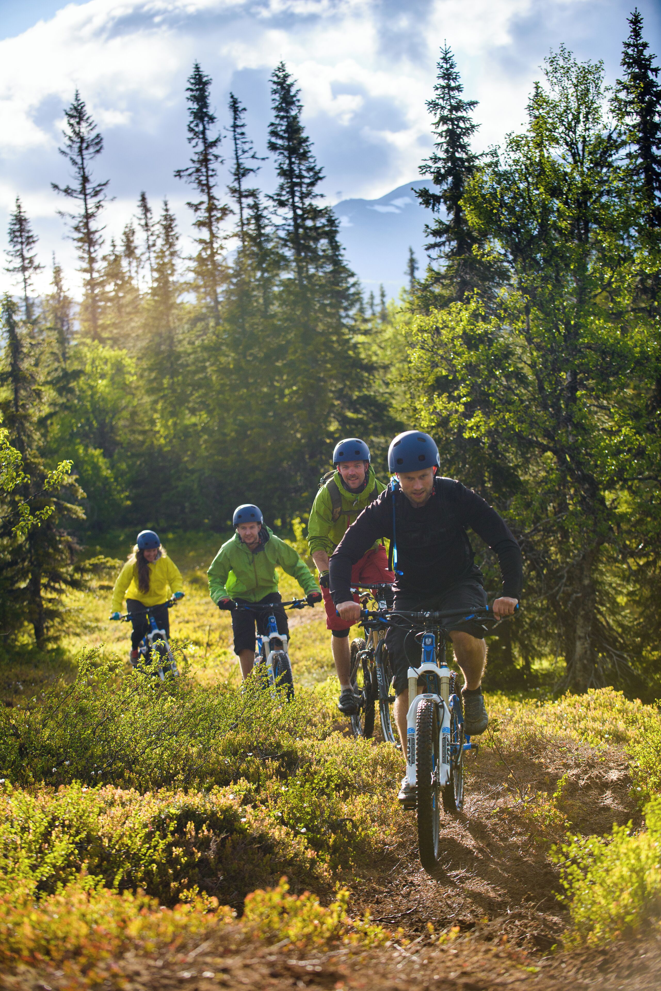 Eine Gruppe von Personen fährt auf Mountainbikes auf einem Waldweg.