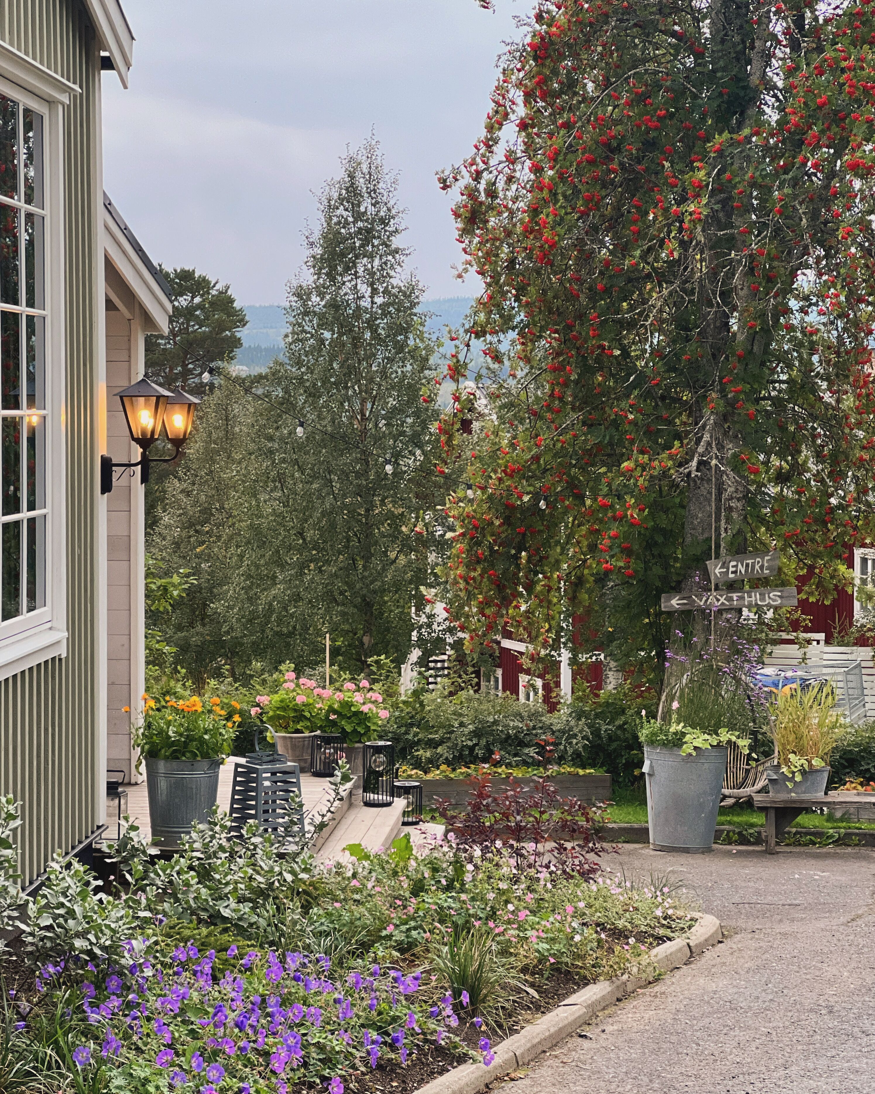 A garden with various plants and flowers, a wooden deck, and a building with a window and a lamp post.