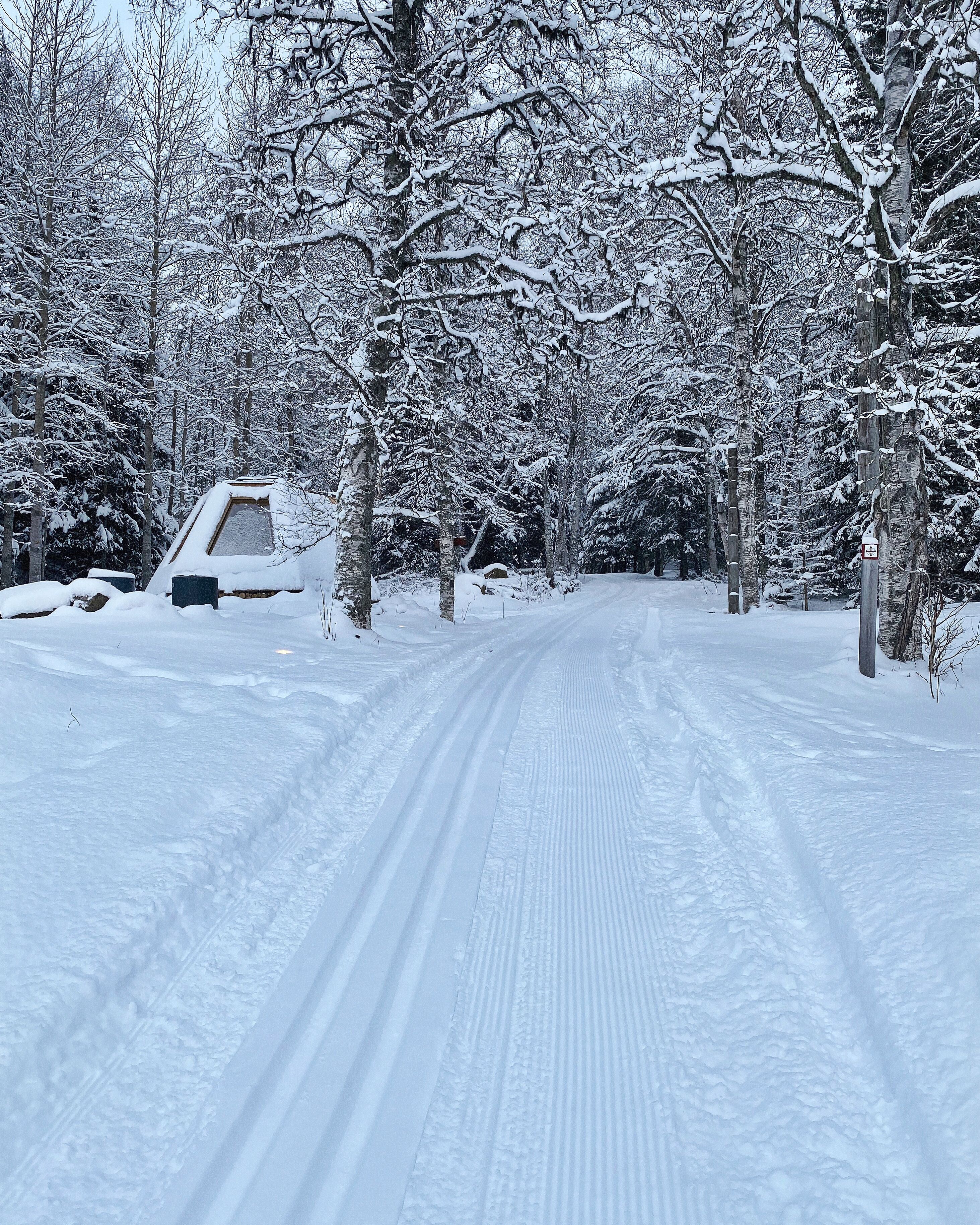 A snow-covered road flanked by trees and a building with a sloped roof.