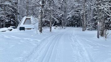 A snow-covered road flanked by trees and a building with a sloped roof.