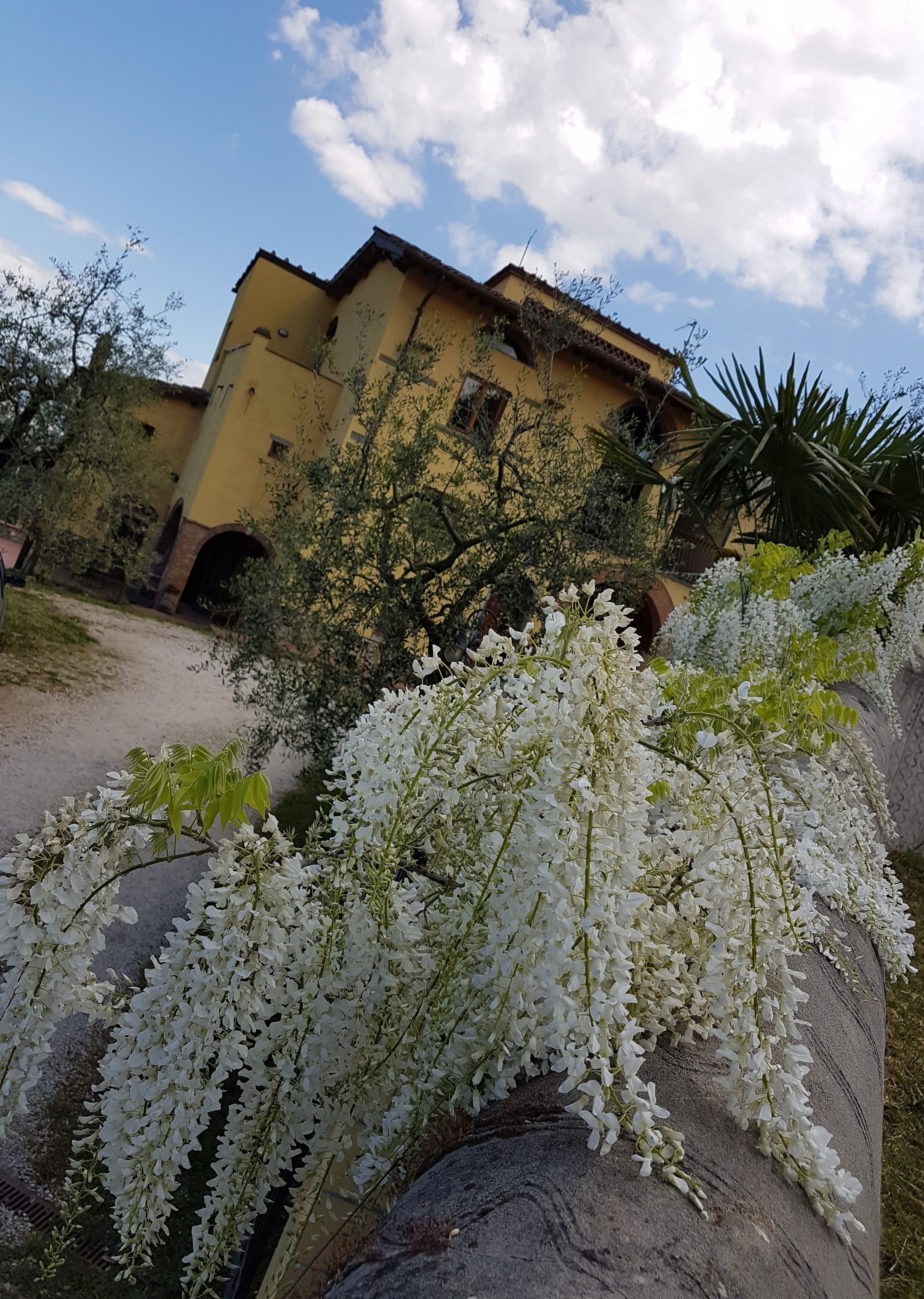 Un edificio amarillo con fachada rústica, rodeado de follaje y plantas con flores blancas.