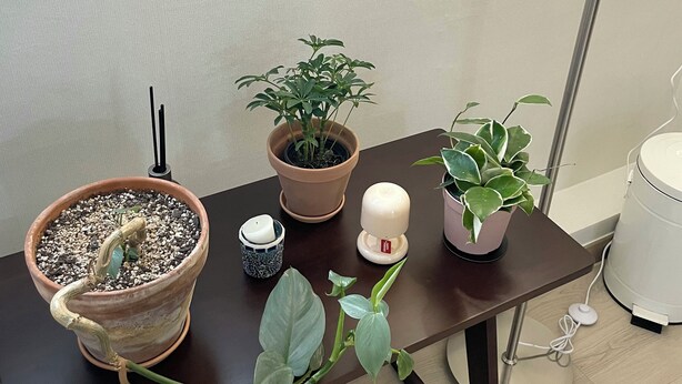 Una pequeña mesa con plantas en macetas, una vela y una lámpara.