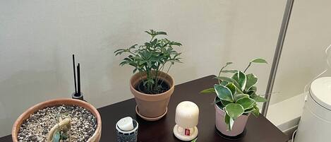 Fridge, microwave, cookware/dishes/utensils, freezer