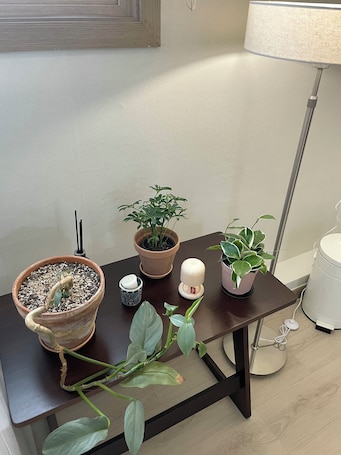 Shared fridge, microwave, cookware/dishes/utensils, freezer