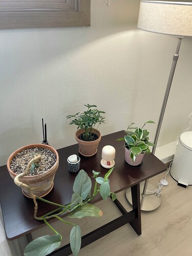 Dana Haru Guesthouse