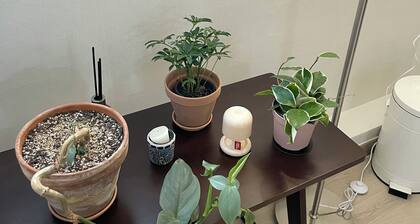 Dana Haru Guesthouse