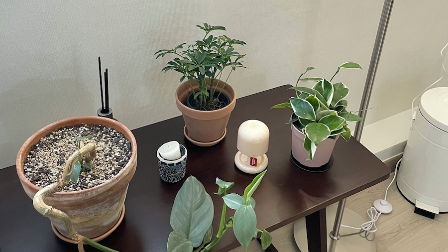 Dana Haru Guesthouse