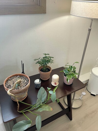 Dana Haru Guesthouse