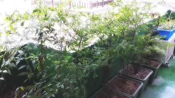 외부 세부 사진