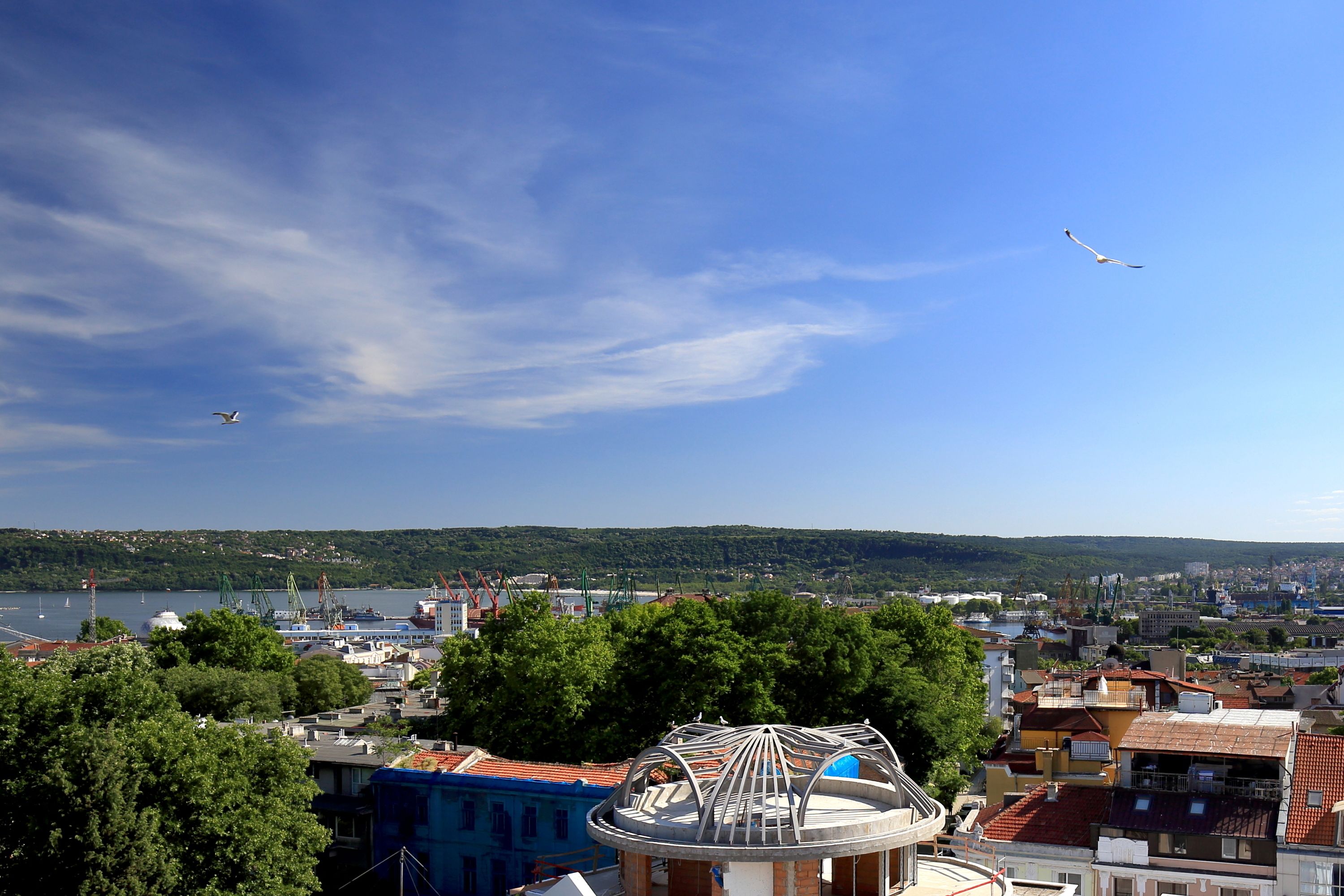 Foto - Hostel Musala