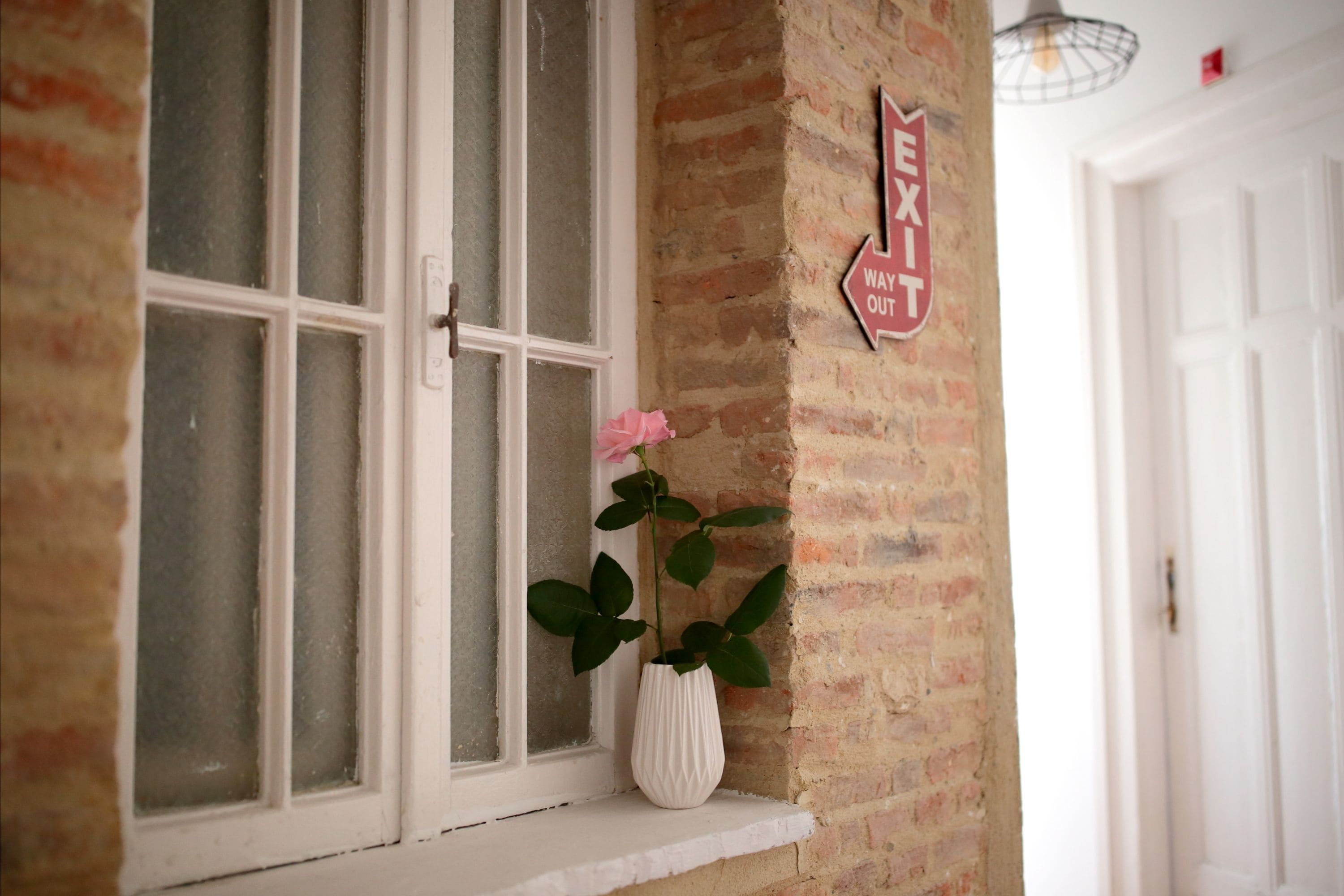 Foto - Hostel Musala